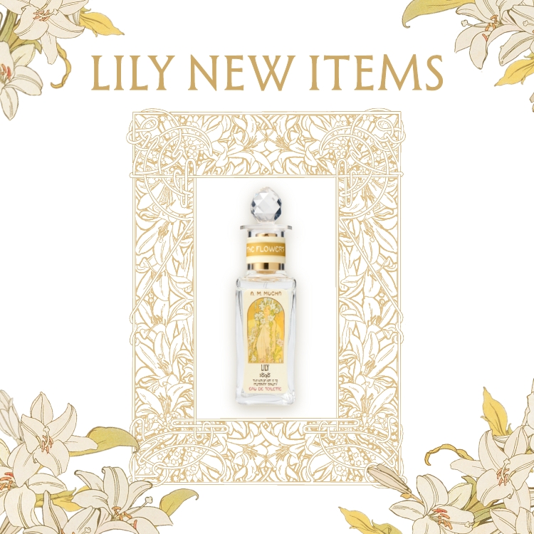 LILY NEW ITEMS