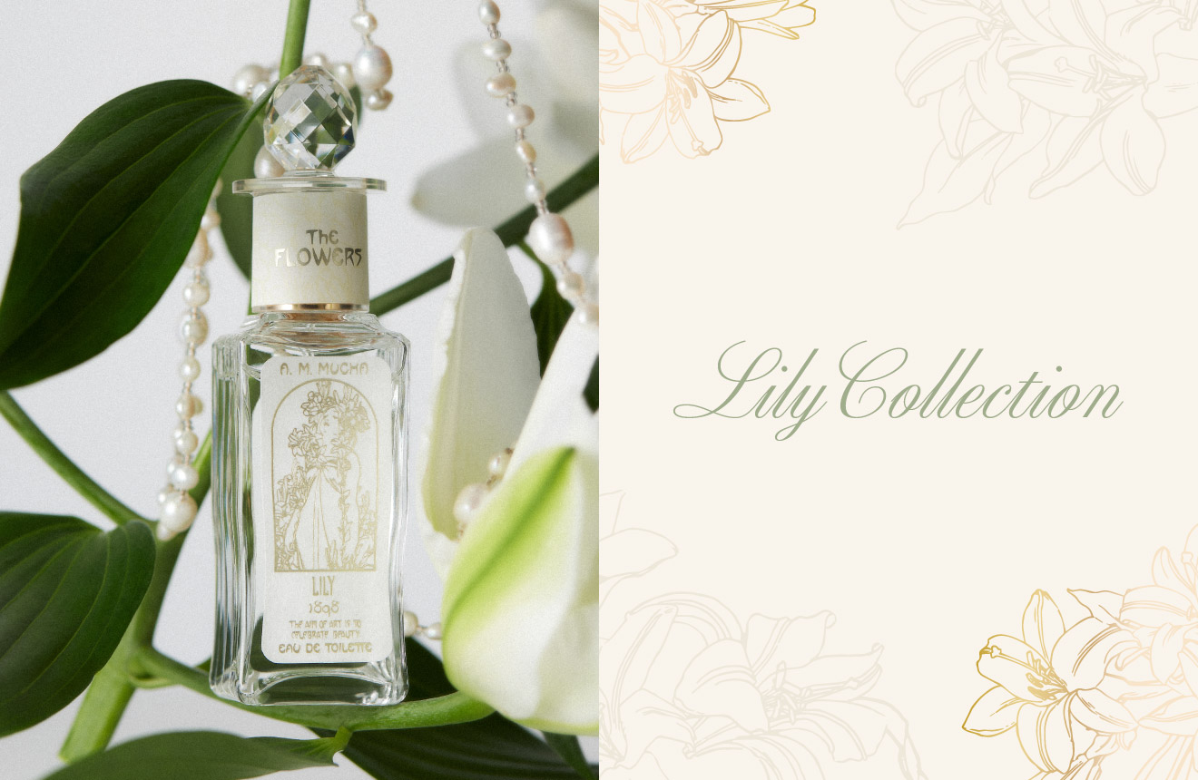 Lily Collection