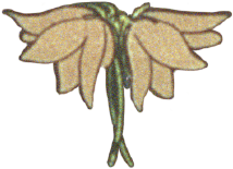 お花アイコン