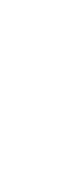 セクション01 星のデコレーションleft
