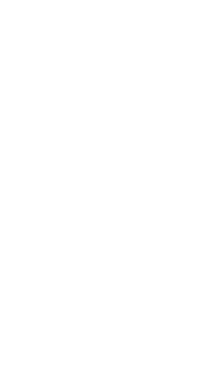 セクション01 星のデコレーションright