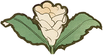 ending お花のデコレーション