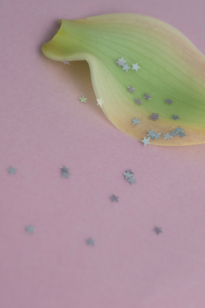 コンセプト画像