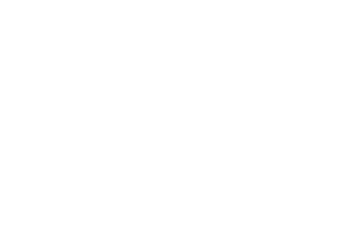 “ALEXANDRE DE PARIS”