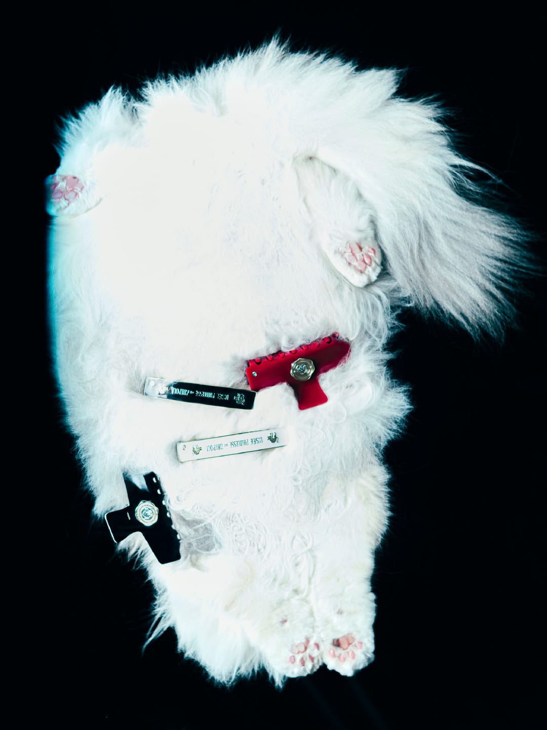 バレッタM イルゼキャッツ&バレッタM イルゼキャッツ&ヘアクリップL イルゼキャッツ&ヘアクリップL イルゼキャッツの画像