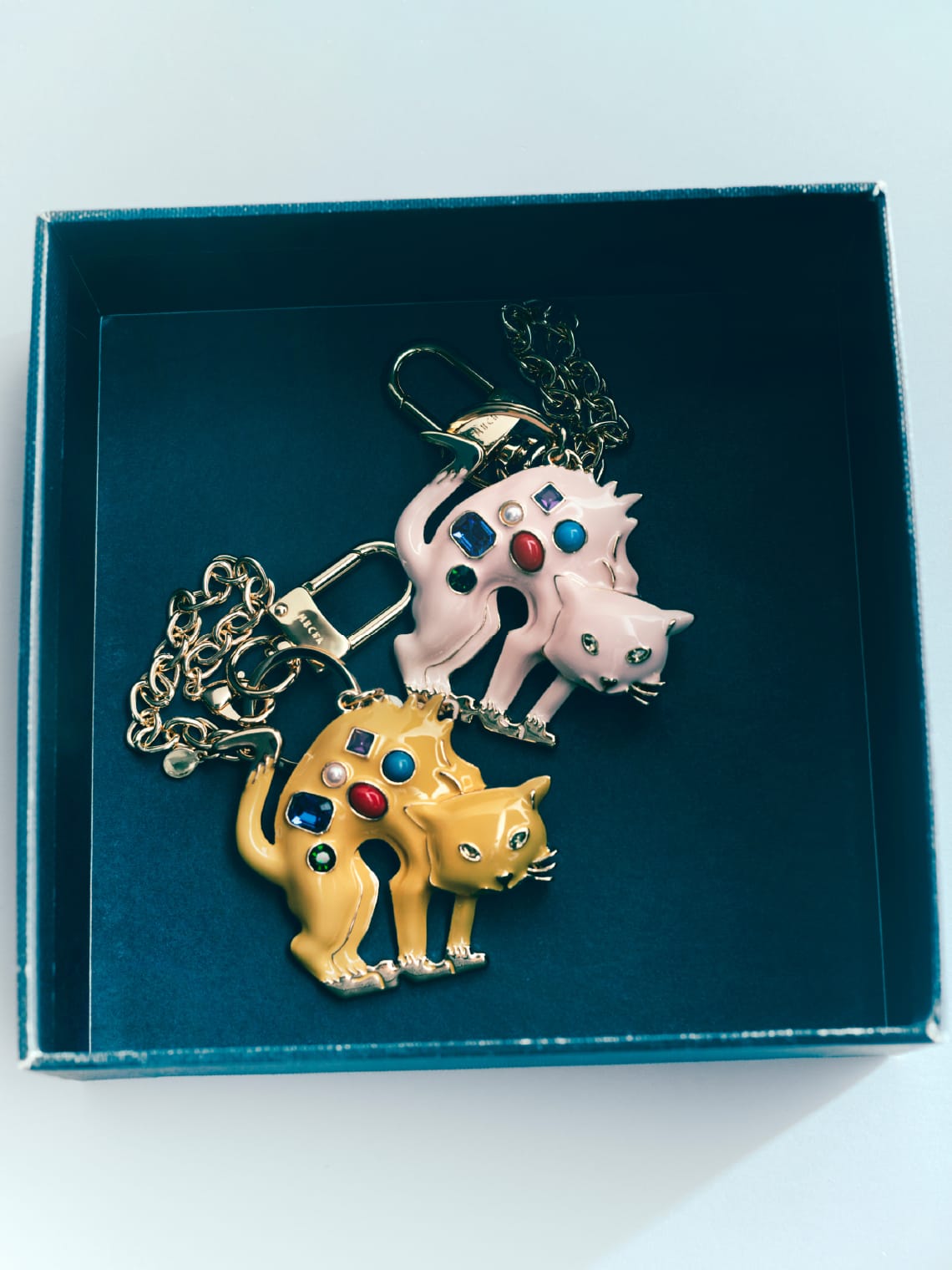 チャーム イルゼキャッツの画像