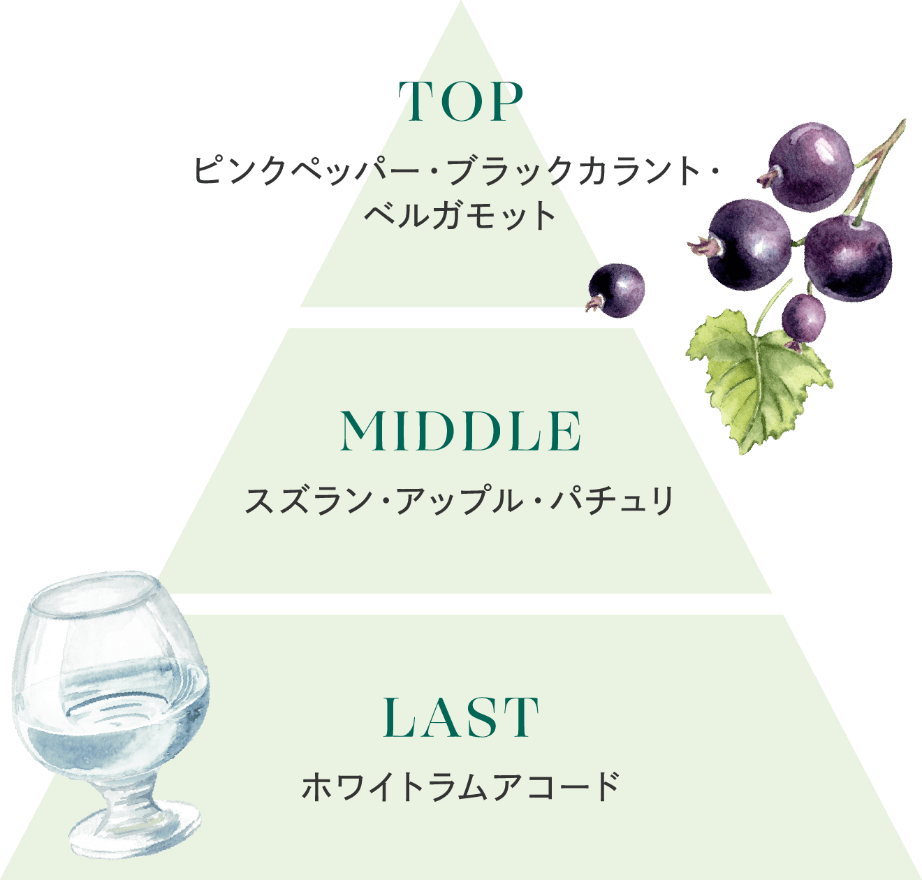 fragrance WHITE RUM