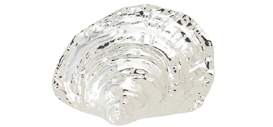 HairClip SLV