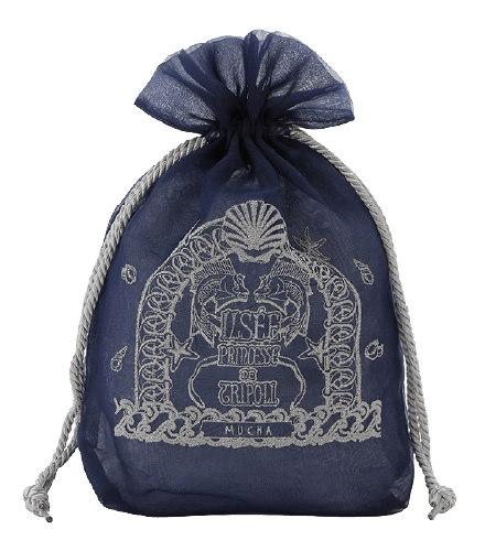 Pouch NVY